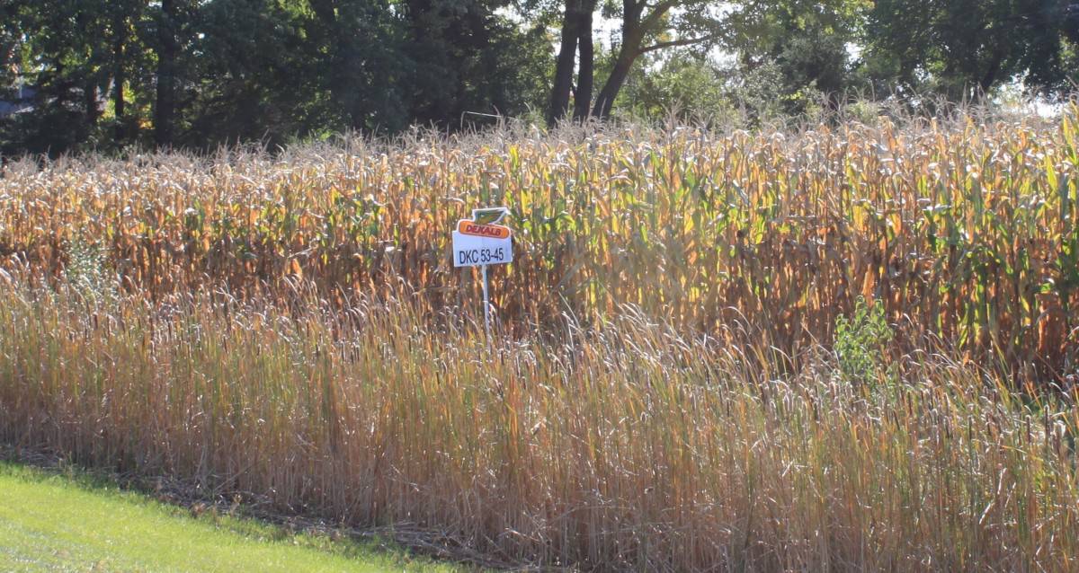 The FBI learned of the case after Robert Mo was found near two separate corn fields.