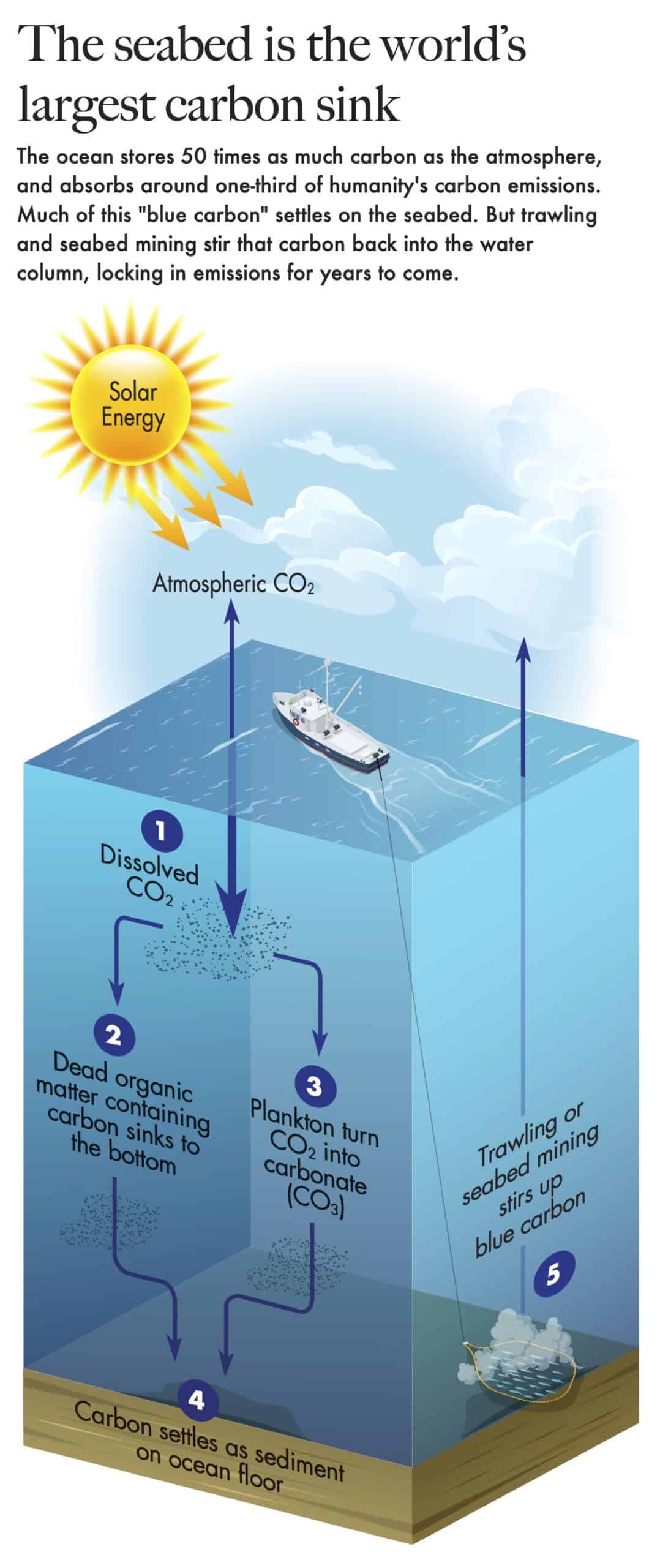 seabed mining blue carbon graphic