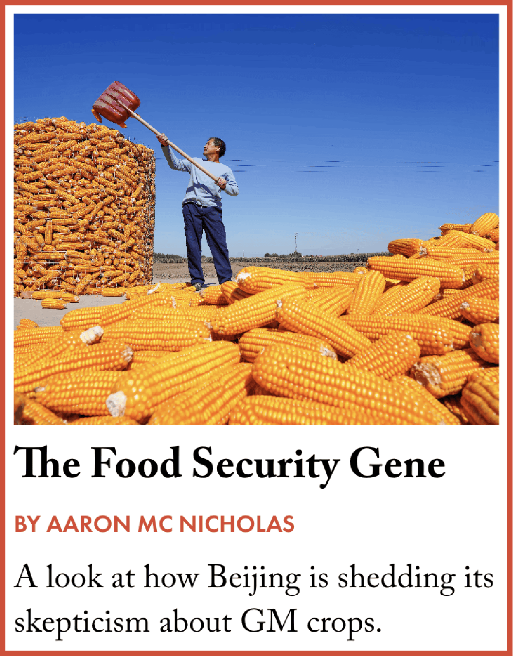 China food security