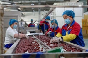 Canada’s Xinjiang Controversy