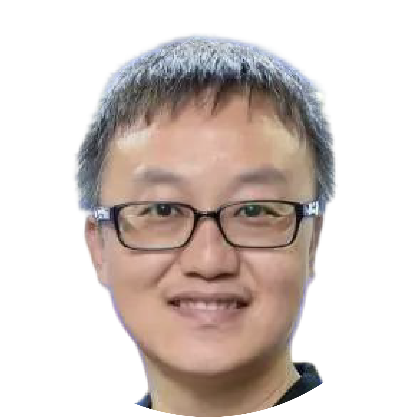 Zhao Lei